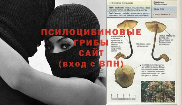 мет Сафоново